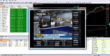 現(xiàn)貨交易軟件首選GTS軟件，公司主推產(chǎn)品優(yōu)惠多多，欲購從速