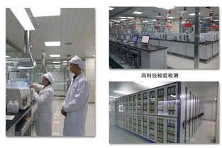 品質(zhì)護(hù)航 一家軟件開發(fā)企業(yè)如何保持自身的核心競爭力